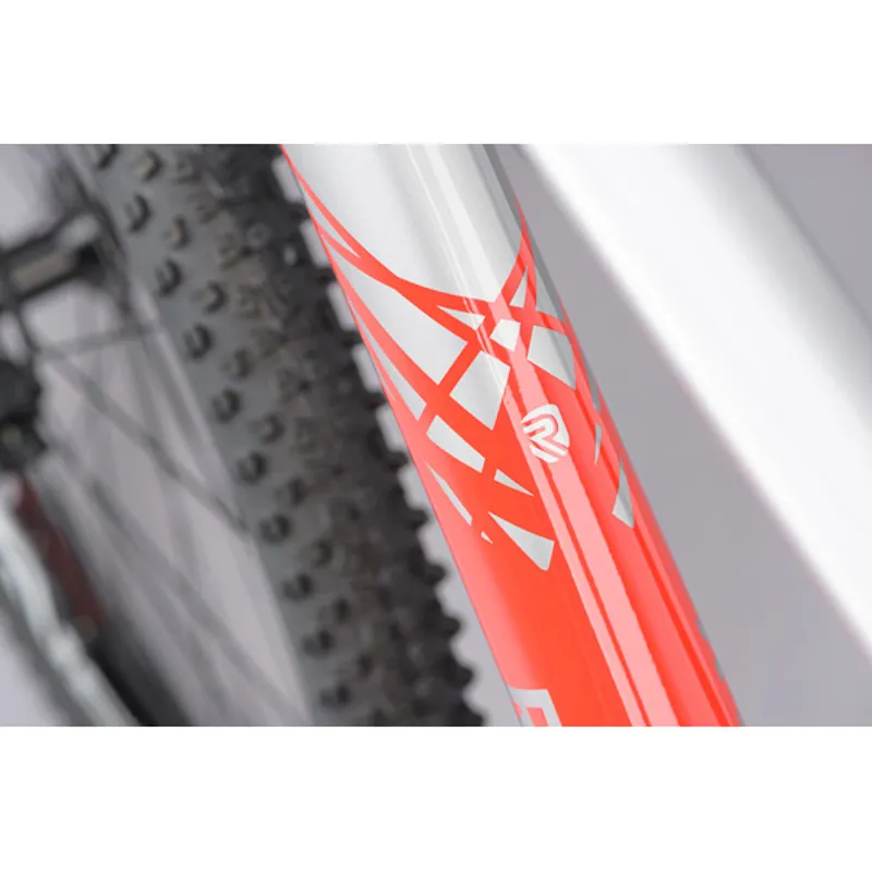 Ridgeback Terrain 4 Mountain Bike in Silver-11